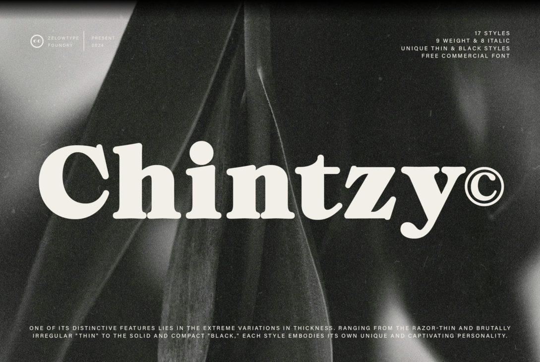 CT chintzy a stylish serif font