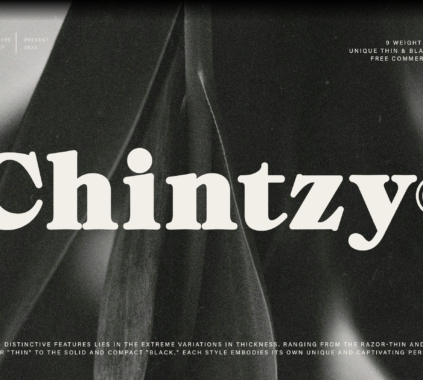 CT chintzy a stylish serif font