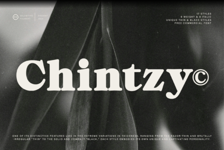 CT chintzy a stylish serif font