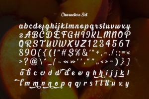  Rogade The Bold Script Font for Statements character set