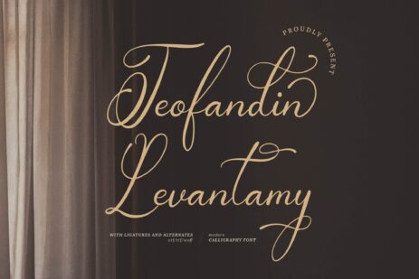 Teofandin Levantamy a beautiful script font