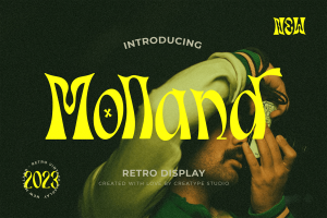 Molland Dispay Font