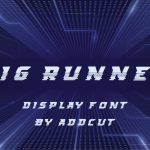 BIG RUNNER