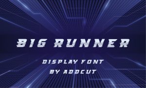 BIG RUNNER