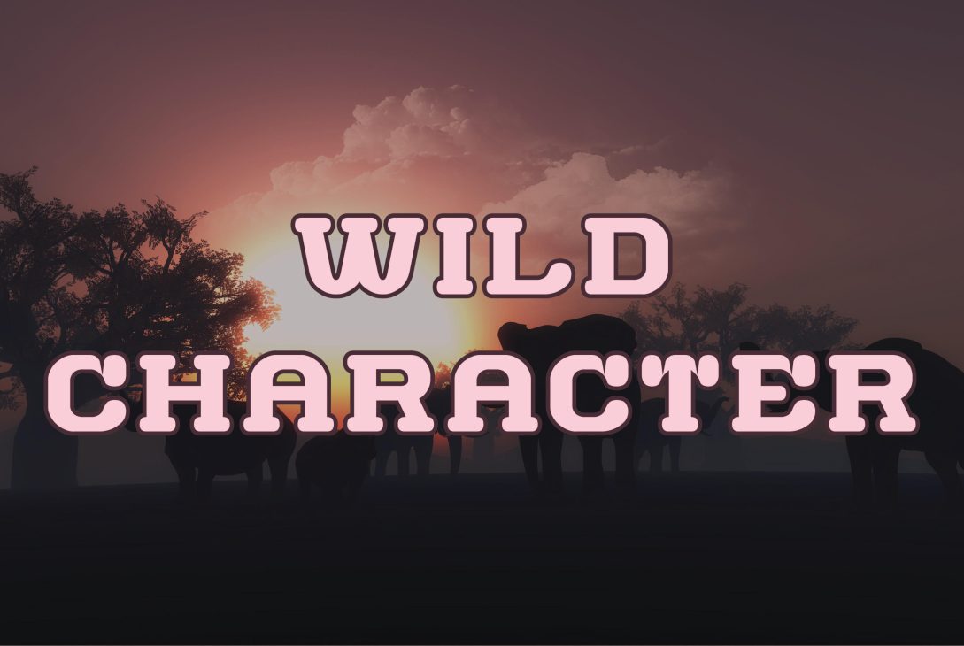 WILD CHARACTER: A Bold Font