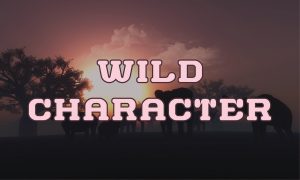 WILD CHARACTER: A Bold Font