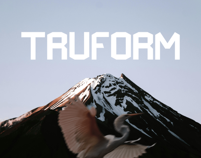 Truform Sans Serif Typeface: Crafting Modern Font