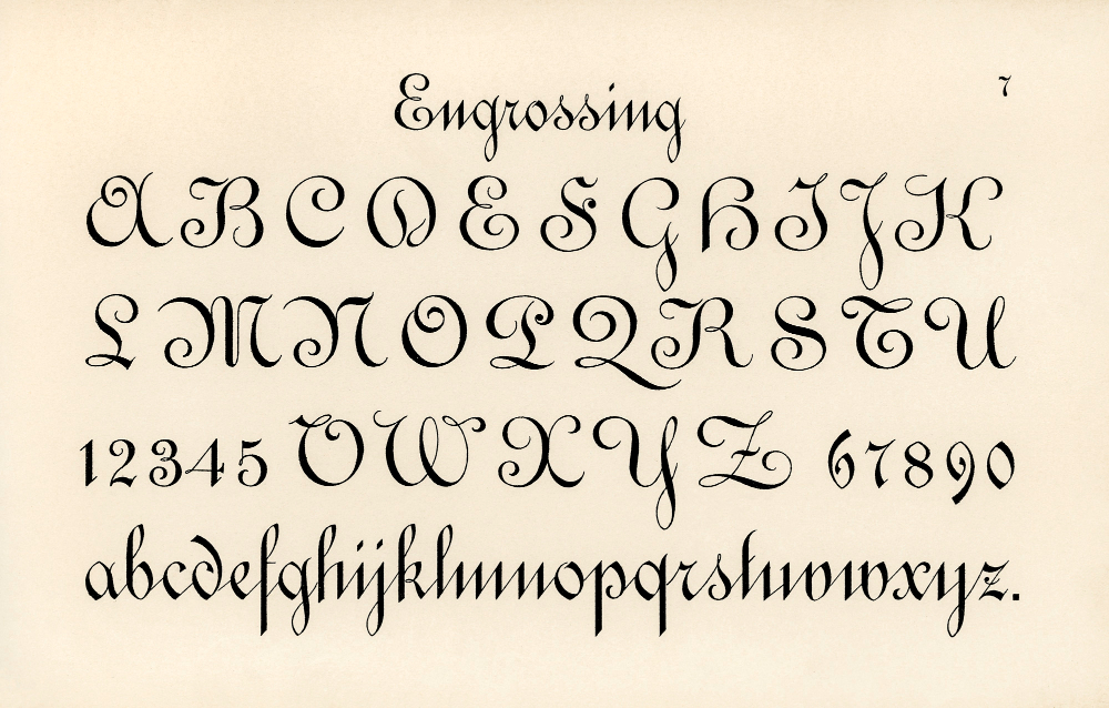 Mastering the Art of Calligraphy: A Beginner’s Step-by-Step Guide