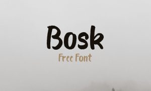 Bosk Font