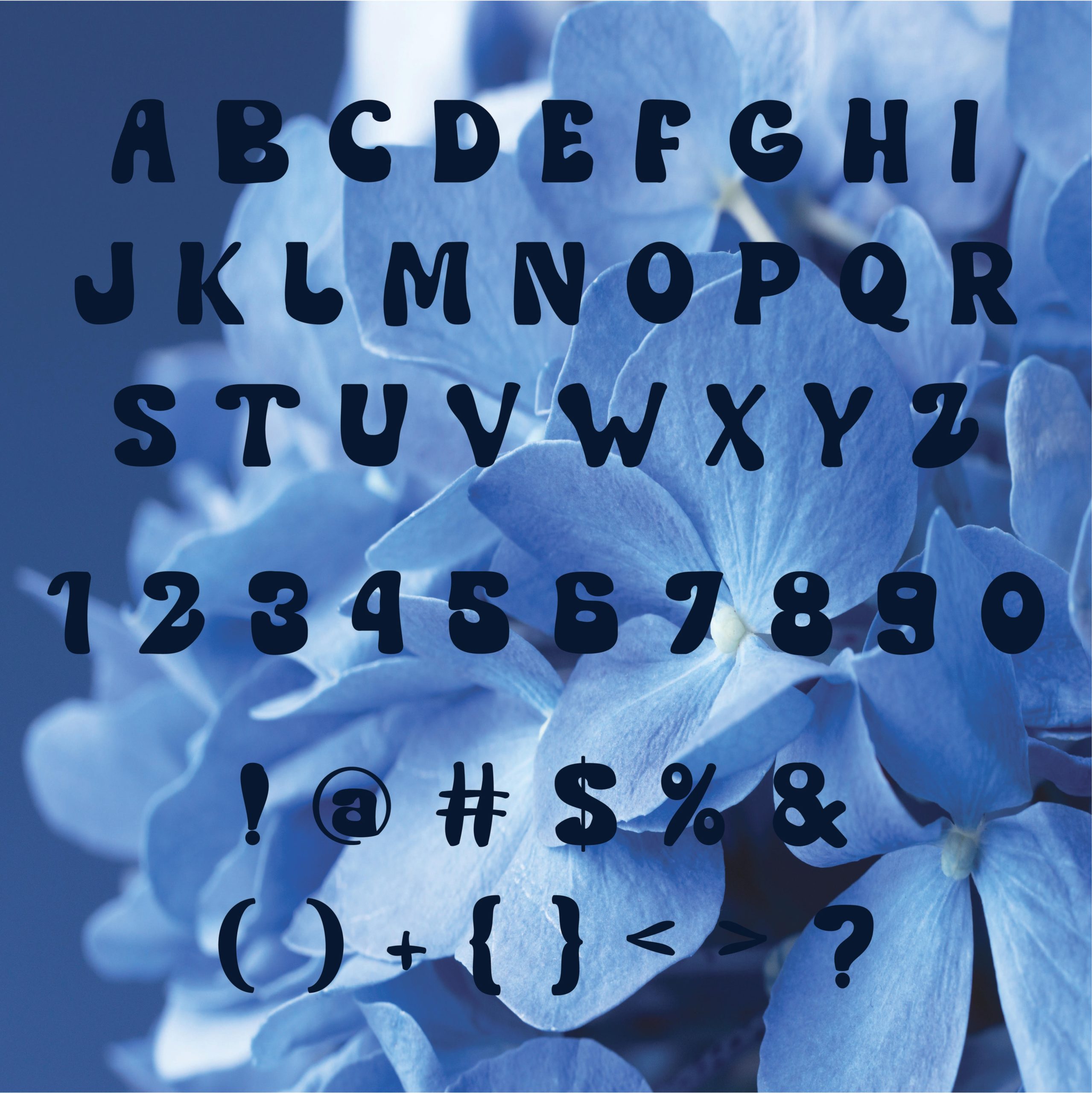 Flowers Sunday: A Modern Serif Marvel Characters