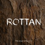 Rottan Brush Font