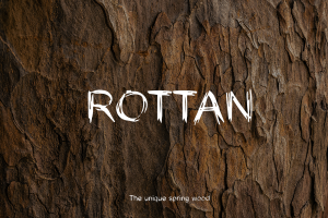 35+ Free Fonts: Rottan