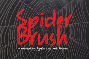 Spider Brush Font