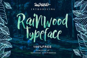 35+ Free Fonts: Rainwood Typeface