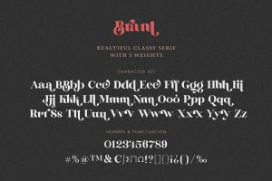 Brant: An Elegant Serif Font Character Set
