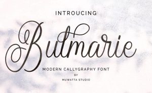 41+ Fresh Fonts: BULMARIE