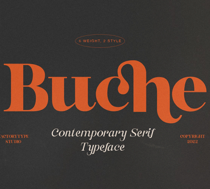 A Curvy Serif Font: Buche