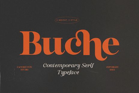 A Curvy Serif Font: Buche