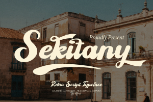 41+ Fresh Fonts: Sekitany