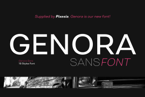 41+ Fresh Fonts: Genora Font 