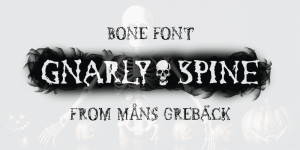 41+ Fresh Fonts: Gnarly Spine