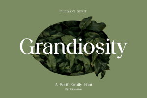 41+ Fresh Fonts: Grandiosity Font