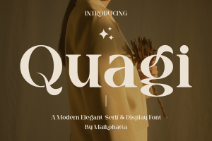 41+ Fresh Fonts: Quagi