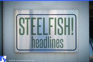 30+ Free Fonts for Commercial Use: Steelfish