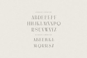 Stylish Serif Fonts: Caroline Character Set