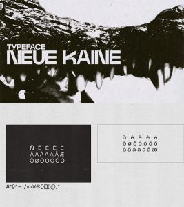 25+ Free Poster Fonts: Neue Kaine Free Font