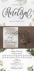 Trendy Premium Fonts: Anelisa Beauty Script Font